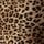 Leopard Love Velvet