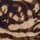 Animal Print