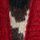 Animal Jacquard