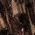 Chocolate Brown