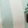 Mint Green/Cream