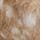 Brown Deer Pattern