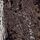 Chocolate Brown