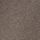 Neutral Taupe