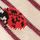 Berry Red Ladybird
