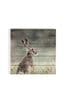 Art For The Home Hare Wood Wall Art