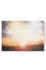 Art For The Home Serene Sunset Meadow Wall Art