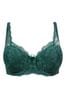 Pour Moi Green Padded Flora Lightly Padded Underwired Bra