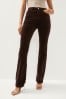 Chocolate Brown Velvet Bootcut Jeans, Regular