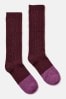 Red / Purple Joules Wool Blend Ankle Socks