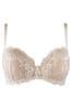 Pour Moi Cream Padded Amour Padded Underwired Bra