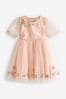 Pink Embroidered Mesh Party Dress (3mths-10yrs)