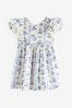 Blue Floral Angel Sleeve Evostripe Dress (3mths-8yrs)