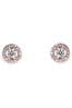 Ivory & Co Rose Gold Balmoral Crystal Dainty Earrings