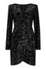 Pour Moi Black Whitney Velvet Sequin V Neck Mini Dress