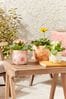 Set of 3 Pink Outdoor Ceramic Floral Planter