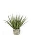 Gallery Home Artificial Wide Leafed Aloe Plant In Pot