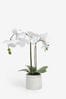 Künstliche, echt aussehende Orchidee im Keramiktopf, Weiß