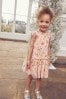 Champagne Sequin Embellished Mesh Party Dress (3mths-7yrs)