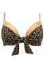 Pour Moi Black & Brown Casablanca Lightly Padded Underwired Tie Front Top
