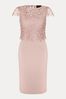 Phase Eight Pink Petite Daisy Lace Midi Dress