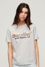 Superdry Grey Rainbow Logo Relaxed Fit T-Shirt