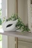 Green Artificial Trailing Plant In Decorative Swan Vase