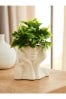 Green Artificial Plant In Decorative Body Pot