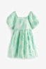 Mint Green Floral Texture Dress (3-16yrs)