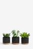 Set of 3 Green Artificial Bronx Succulents