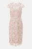 Phase Eight Pink Francis Lace Waistband Dress