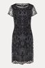 Phase Eight Embroidered Esme Dress