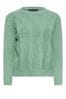 M&Co Green Petite Cable Jumper