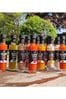 MenKind Hot Sauce & Spices 12 Variety Pack