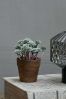 Abigail Ahern Artificial Potted Mini Crassula Plant