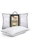 Sealy Dual Comfort Memory Foam Pillow