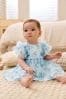 Blue Floral Baby Party Frill Sleeve AM0AM07922 Dress (0mths-2yrs)