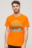 Superdry 100% Cotton Great Outdoors Graphic T-Shirt