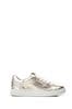 Moda in Pelle Gold Ariba Flat Slab Lace up Trainers
