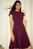 Friends Like These Burgundy Red Fit and Flare Cap Sleeve Tailored Dress