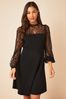 Friends Like These Black Lace Yoke Mini Long Sleeve Dress, Regular