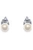 Ivory & Co Silver Classic Rhodium Crystal And Pearl Earrings