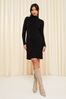 Friends Like These Black Cable High Neck Knitted Dress, Regular