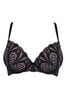 Pour Moi Black/Rose New Romance Padded Boost Push Up Plunge Bra