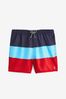 Colourblock Swim Shorts