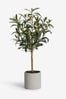 Green Small Artificial Olive Tree In Concrete Pot