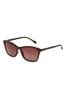 Ted Baker Brown Small Classic Sunglasses