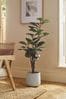 Green Artificial Fiddle Tree In Concrete Pot