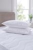 Soft Set Of 2 Goose Feather & Down Pillows, Soft