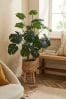 Green Artificial Cheese Plant in Rattan Planter With Legs
